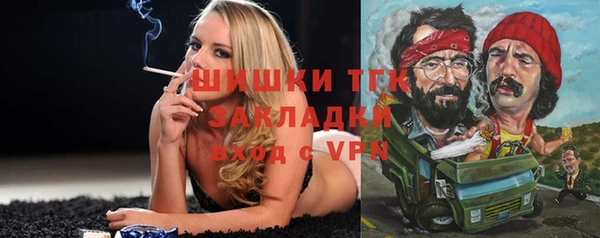 дмт Осташков