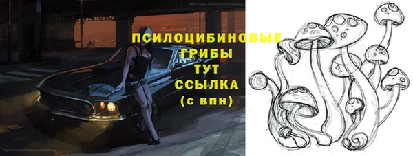 тгк Алексеевка