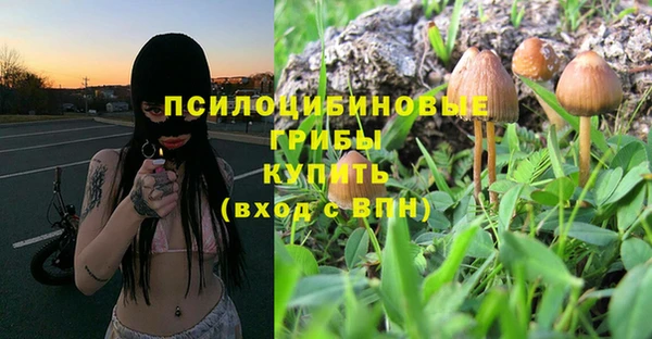 каннабис Алзамай