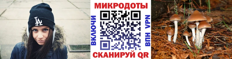 даркнет наркотические препараты  Кулебаки  Галлюциногенные грибы Magic Shrooms  купить наркотики цена 