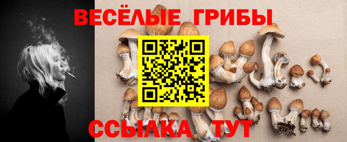 даркнет сайт  Галлюциногенные грибы ЛСД  Вход с VPN  Кулебаки 