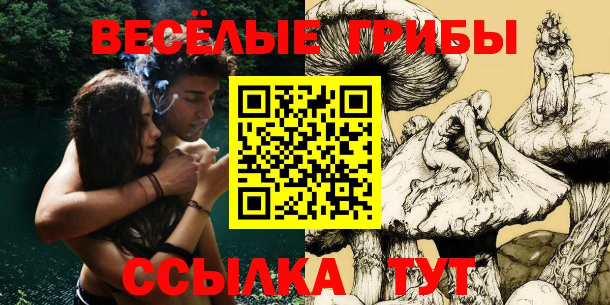 Галлюциногенные грибы Psilocybe Кулебаки