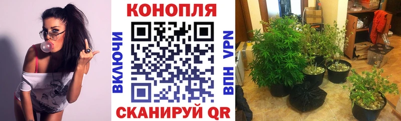 Конопля сатива  KRAKEN онион  Кулебаки 